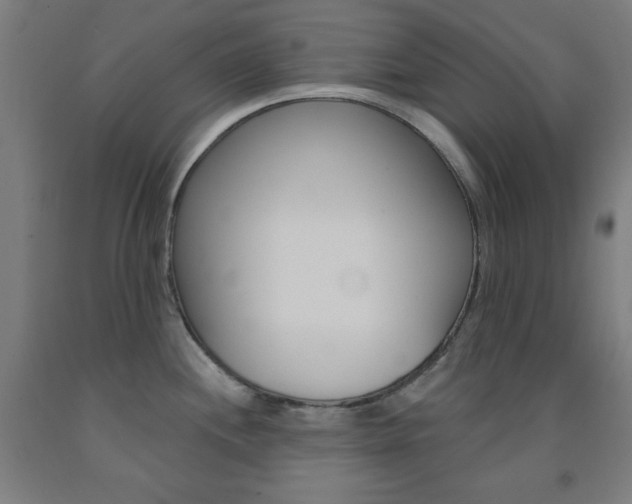 X0000093131244200709261029