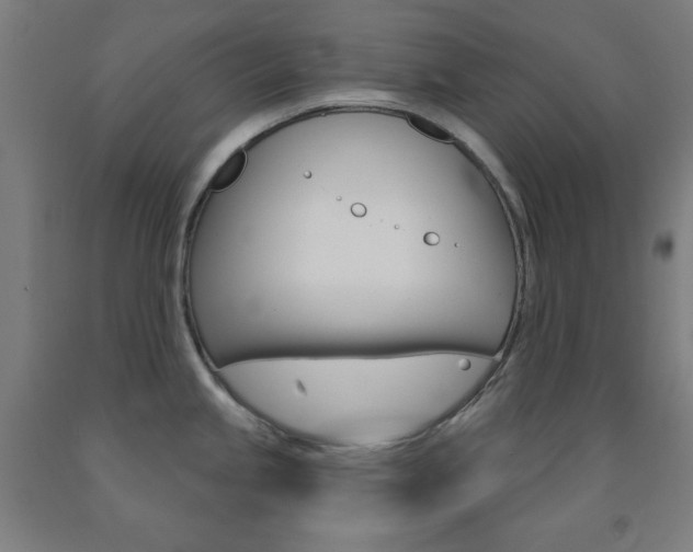 X0000093131245200709261029