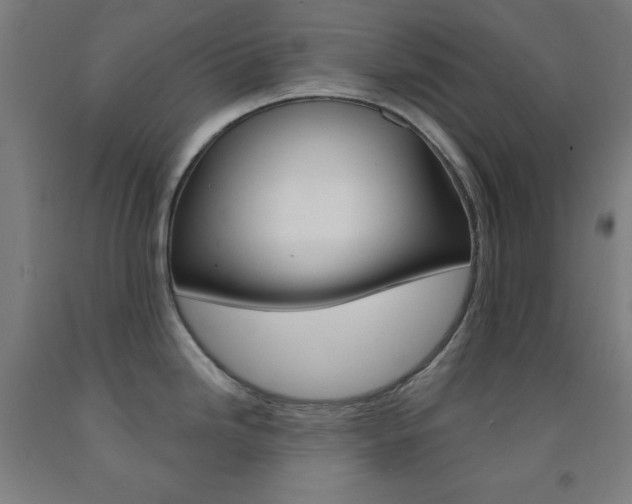 X0000093131246200709261029