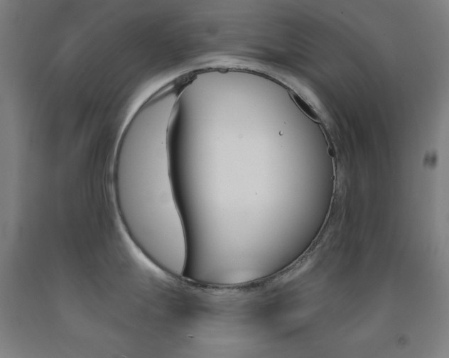 X0000093131247200709261029