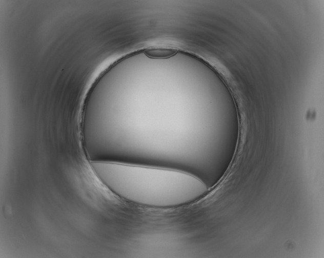 X0000093131248200709261029