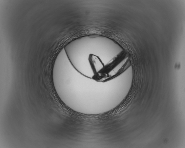 X0000093131249200709261028