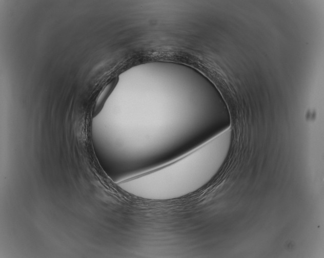 X0000093131250200709261028