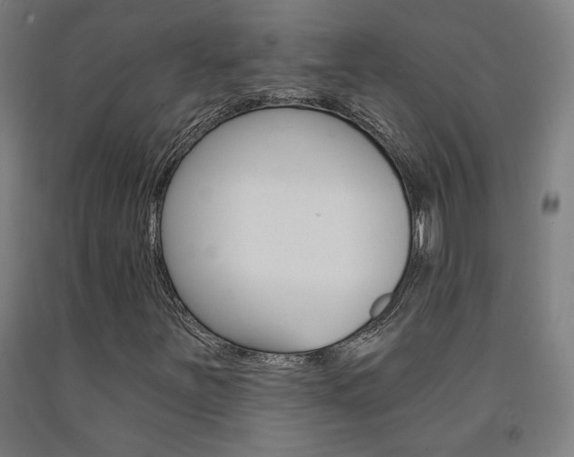 X0000093131251200709261028