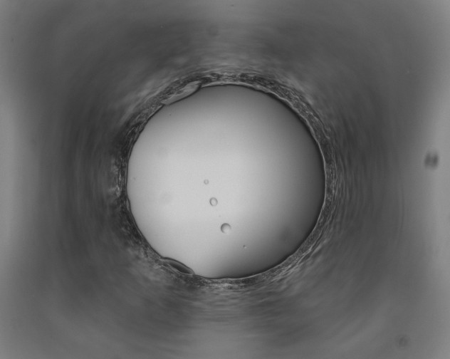 X0000093131253200709261028