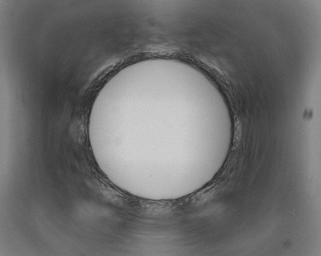X0000093131254200709261028