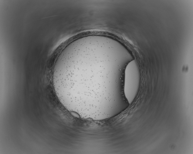 X0000093131255200709261028