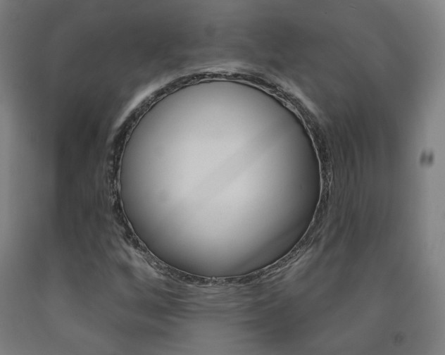 X0000093131256200709261028