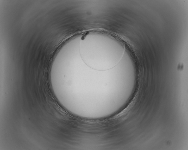 X0000093131257200709261028