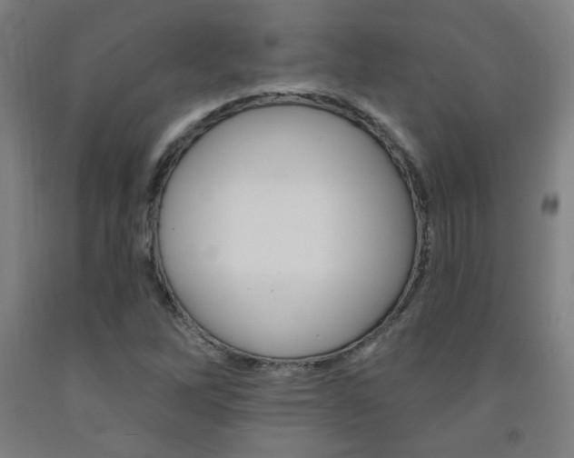 X0000093131262200709261028