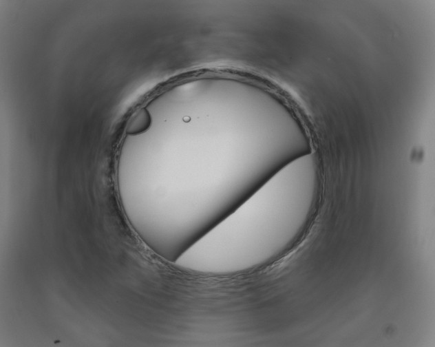 X0000093131263200709261028