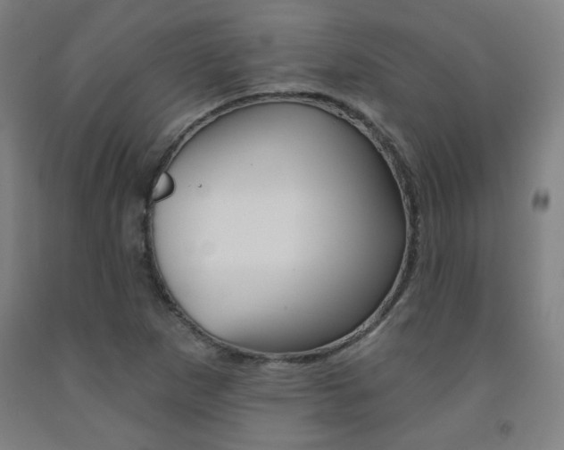 X0000093131265200709261028