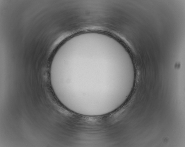 X0000093131266200709261028