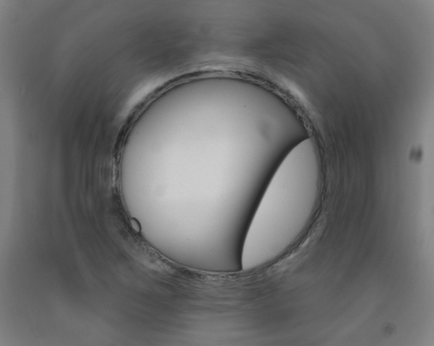 X0000093131267200709261028