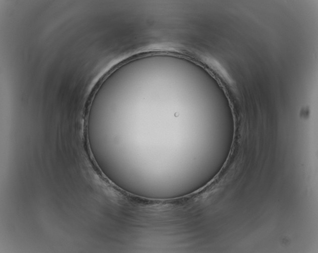 X0000093131268200709261028