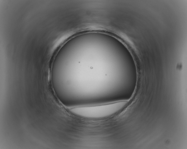 X0000093131269200709261028