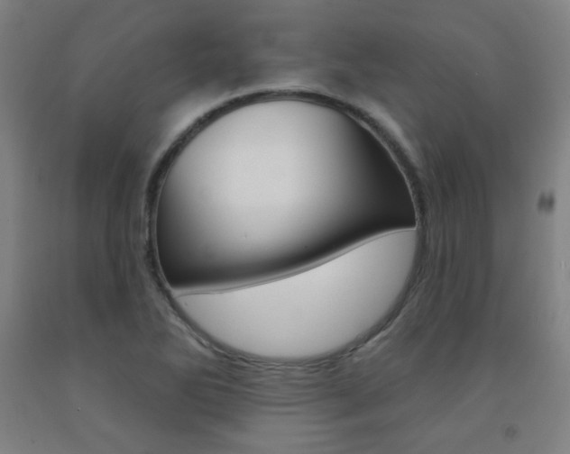 X0000093131270200709261028