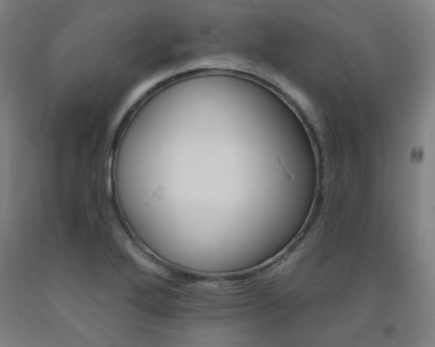 X0000093131272200709261028