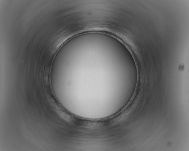 X0000093131273200709261028