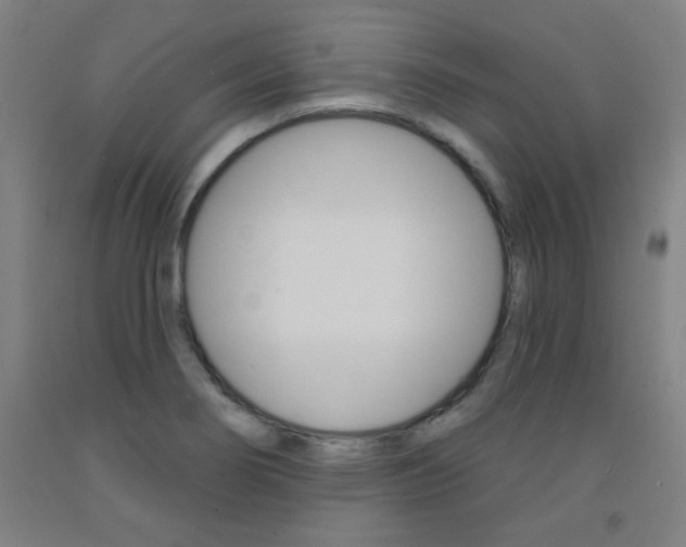 X0000093131274200709261028