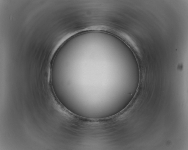 X0000093131276200709261028