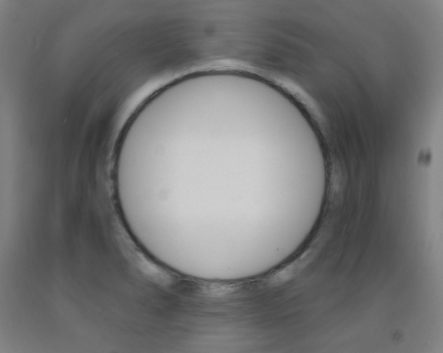 X0000093131278200709261028