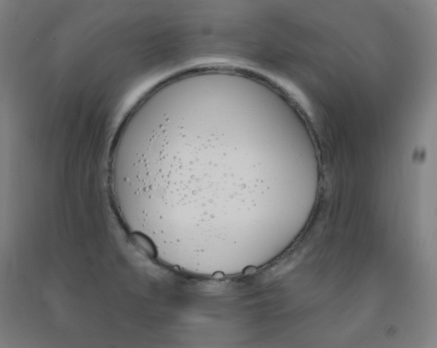 X0000093131279200709261028