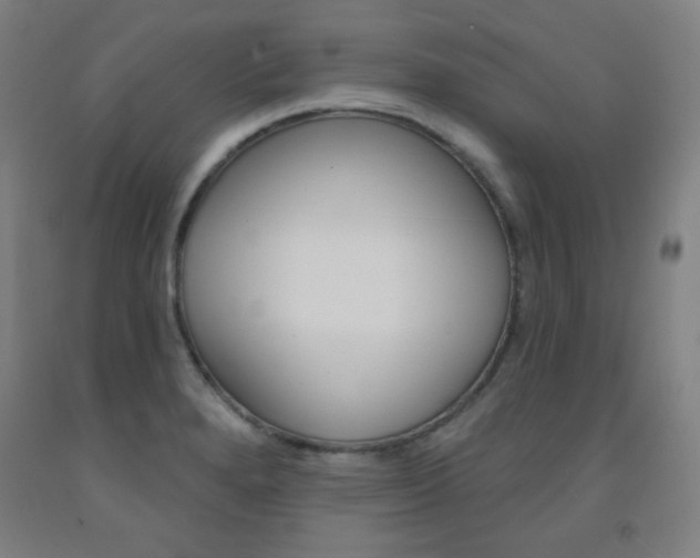 X0000093131280200709261028