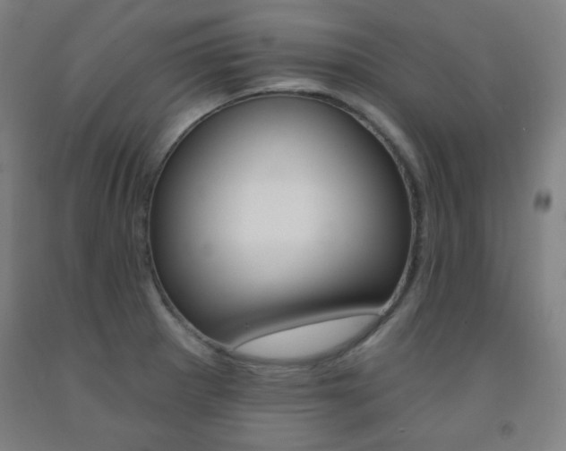 X0000093131281200709261028