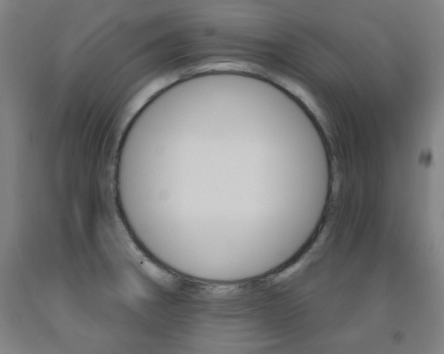 X0000093131282200709261028