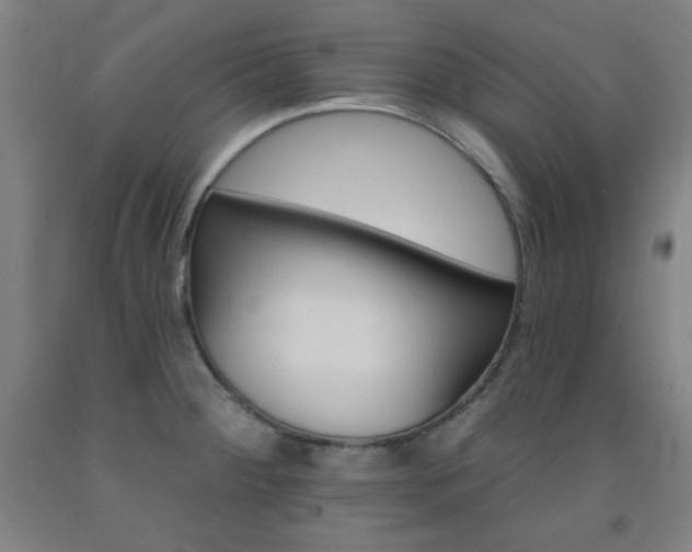 X0000093131284200709261027