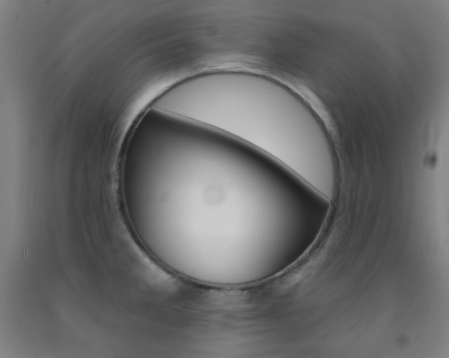 X0000093131285200709261027
