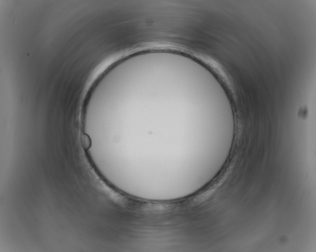 X0000093131286200709261027