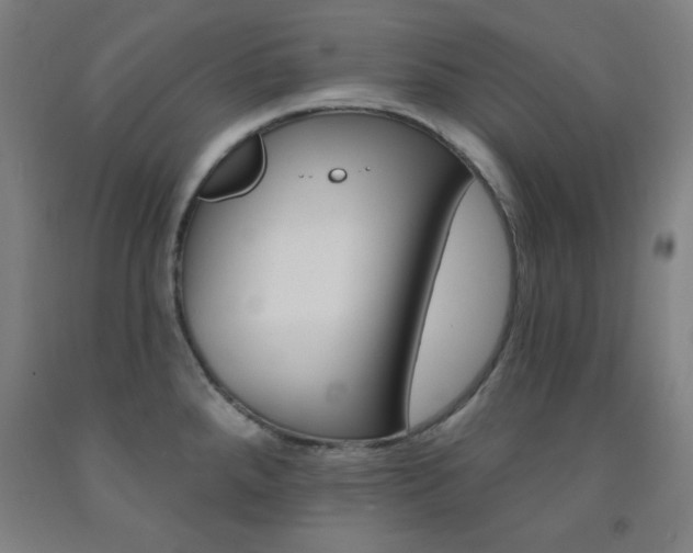X0000093131288200709261027
