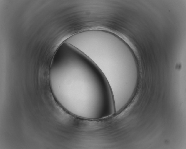 X0000093131289200709261027