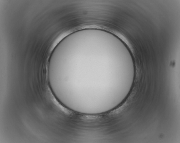 X0000093131290200709261027