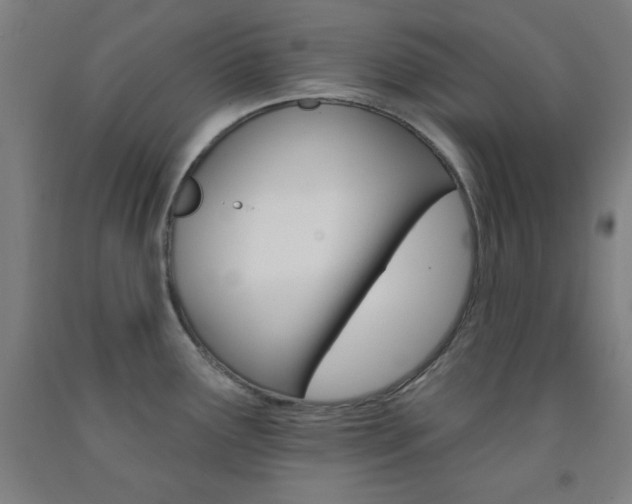 X0000093131291200709261027