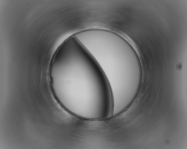 X0000093131293200709261027