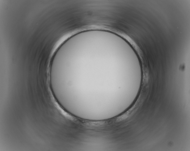 X0000093131294200709261027