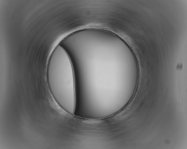 X0000093131296200709261027