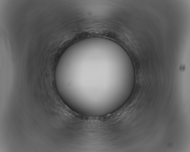 X0000093131297200709261027