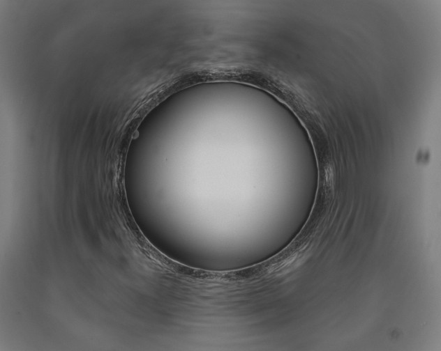 X0000093131300200709261027
