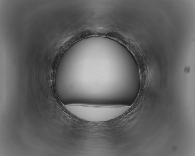 X0000093131301200709261027