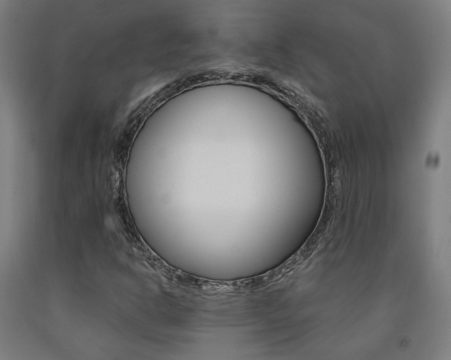 X0000093131302200709261027