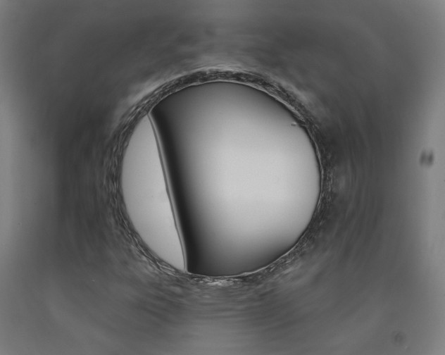 X0000093131303200709261027