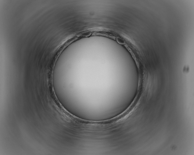 X0000093131305200709261027