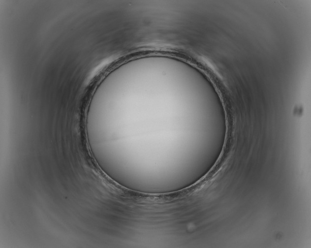 X0000093131307200709261027