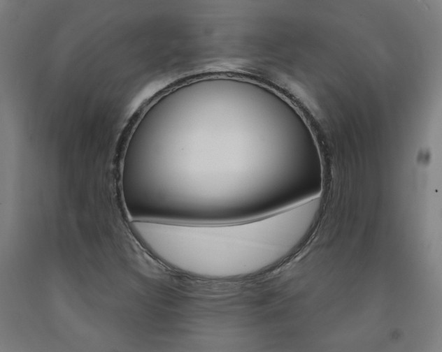X0000093131308200709261027