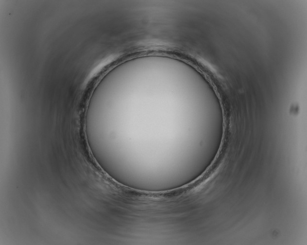 X0000093131309200709261027