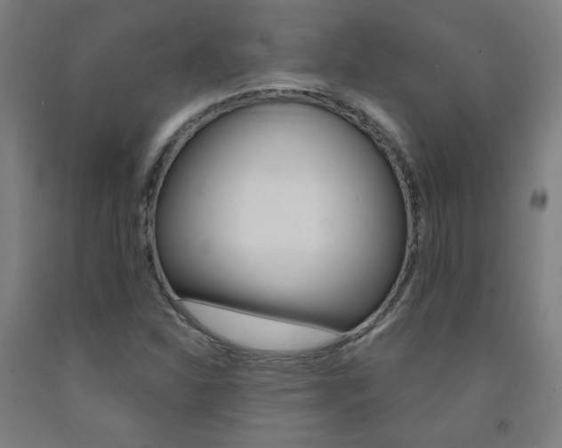 X0000093131310200709261027